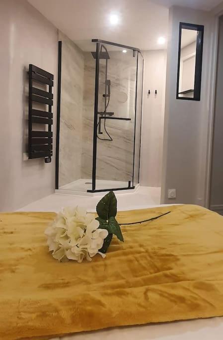 Suite Vinicole Hypercentre, Bastille & Gare 9 Min A Pied Grenoble Dış mekan fotoğraf
